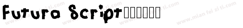 Futura Script字体转换